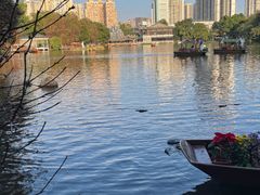 -荔湾湖公园