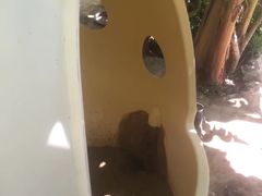 -100蛋泥浆浴