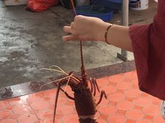 -海门岛七号餐厅