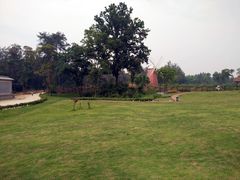 -保利石象湖景区