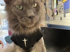 -平行世界·猫咖(首经贸店)