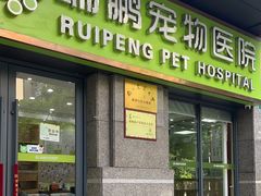 -瑞鹏宠物医院犬猫全科(真大分院)