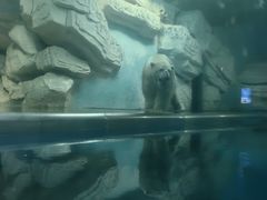 -泉城欧乐堡海洋极地世界