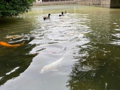 -杭州西子湖四季酒店-WL BISTRO西湖餐厅(灵隐路店)