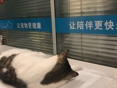 -美迦爱-牙专科·兔科·骨科诊疗中心(北苑店)