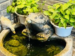 -十六中酱肉·烧烤·京菜小馆(五方桥旗舰店)