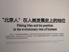 -北京周口店北京人遗址博物馆