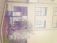iphone_upload_pic-徐家汇源景区-衡山坊