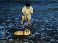-嵊泗基湖沙滩
