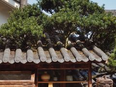 -大金鹰园