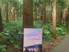 -同里国家湿地公园