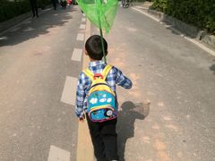 -大屏嶂森林公园