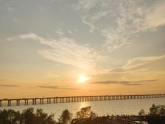 -宝安西湾红树林湿地公园