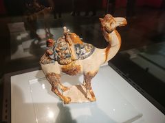 -洛阳博物馆