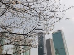 -西北湖绿化广场