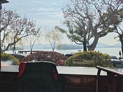 -楼外楼(西湖景区孤山路店)