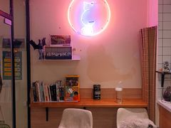 -滚猫咖啡·猫咖·猫友好撸猫(未来城店)