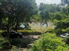 -时光花园(白鹭洲店)