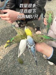 -萌宠亲子动物乐园(槐房万达店)