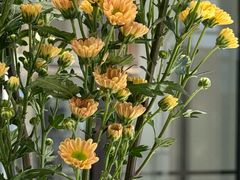 -南堂馆·新川菜(春熙路店)