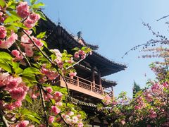 -西安青龙寺遗址景区