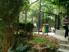 -晓港公园