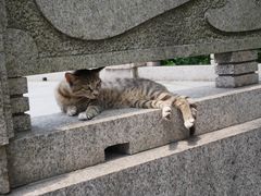-穹窿山景区