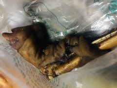 -聚德华天护国寺小吃(甜水园店)