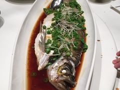 清蒸白水鱼-黛瓦里巷(南京东路店)