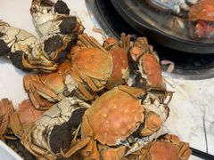 -半岛听涛蒸汽海鲜自助(K11店)