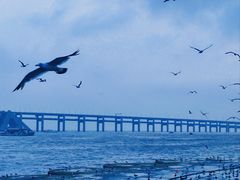 -星海广场