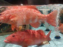 -阿伟海鲜楼·福建菜(延寿店)
