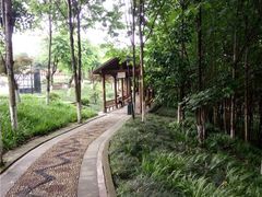 -重庆彩云湖湿地公园