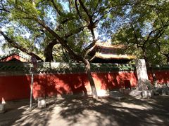 -北京国子监胡同