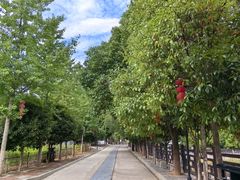 -新田龙家大院