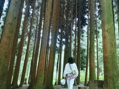 -武陵山森林公园