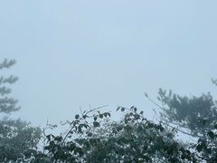 -罗田薄刀峰风景区