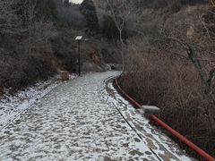 -府君山公园
