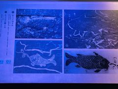 -白鹤梁水下博物馆