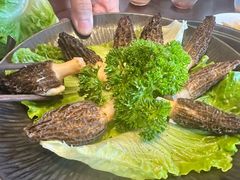 -滇野云南野生菌餐厅(陕西南路店)