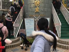 -锦江乐园舞狸花花游园会(夜场专享)