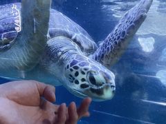 -海合安青岛极地海洋公园