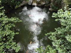 -灵隐飞来峰景区
