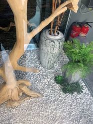-木北造型