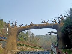 -梅岭月亮湾山体公园