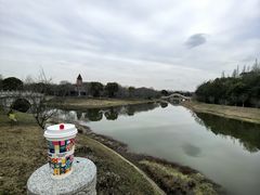 景点-上海海湾国家森林公园