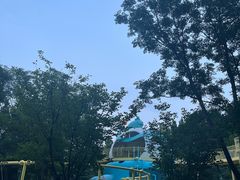 -张店儿童公园
