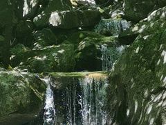 -青峰峡国家森林公园