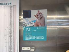 -伟伟宠物医院·CT影像中心·瑞派犬猫综合性门诊(汉口总院)