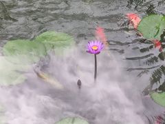 -濮园 · 四合院餐厅